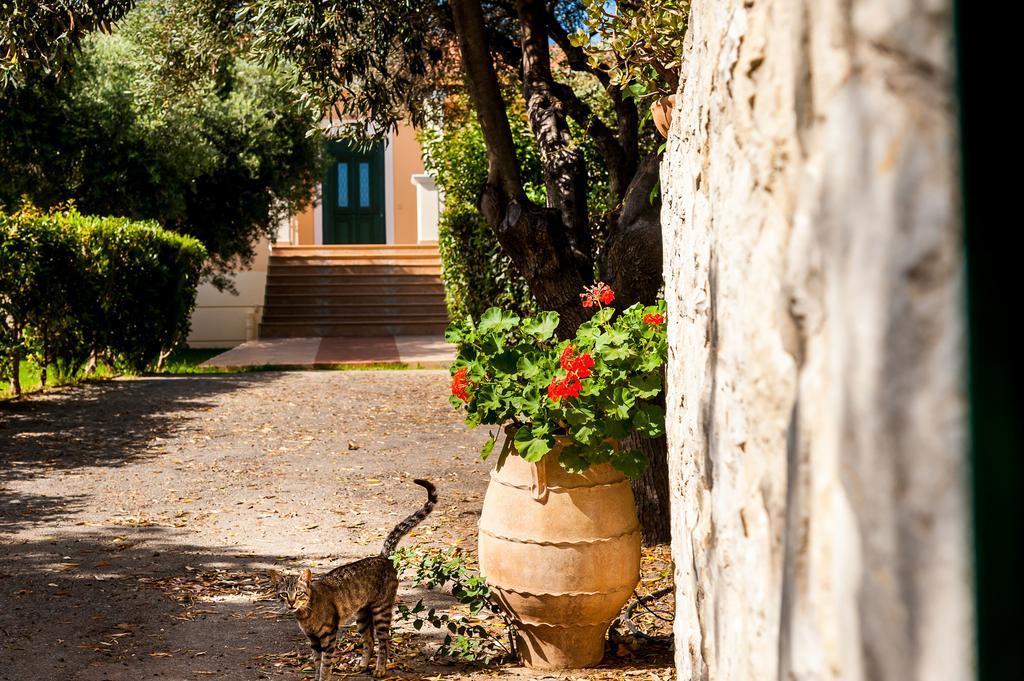 Villa Vallia - Villa Marina Kato Galatas Exteriör bild